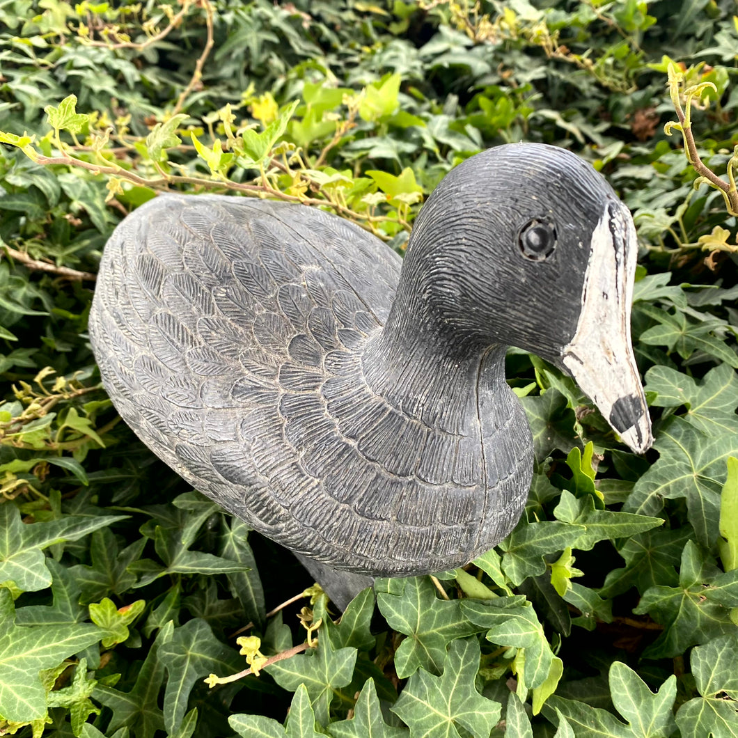 Duck Decoy Black and White