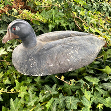 Load image into Gallery viewer, Duck Decoy Antique
